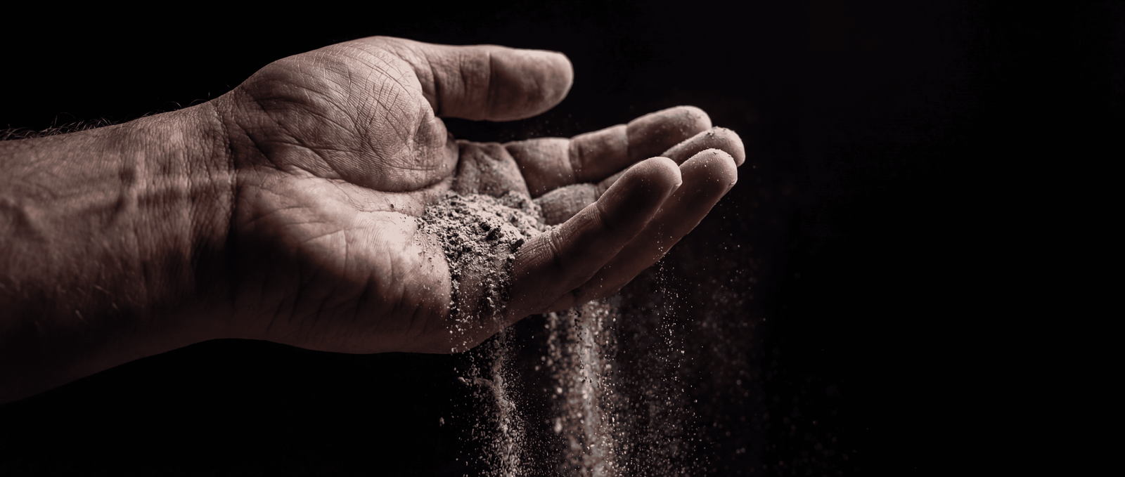 Polvo eres y al polvo volverás